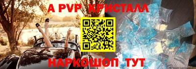 гидра Свободный