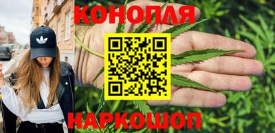 гидра Свободный
