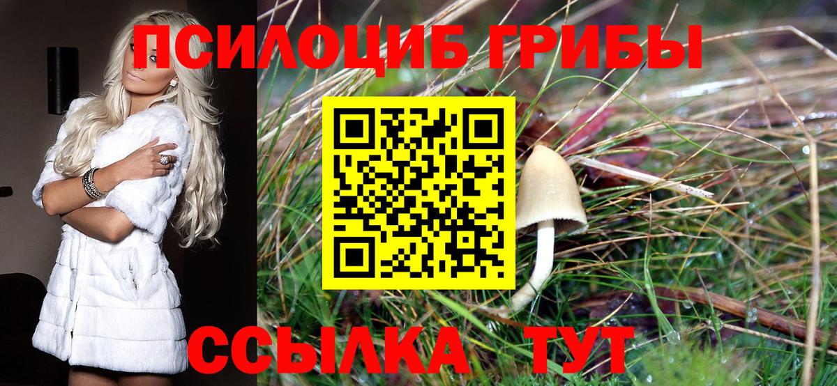 Галлюциногенные грибы Magic Shrooms Нефтекамск