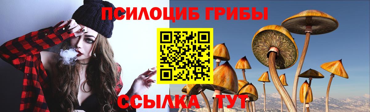 Галлюциногенные грибы Psilocybine cubensis  Вход с VPN  Нефтекамск 